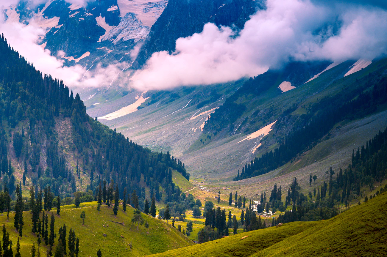 Amazing Kashmir Vacay